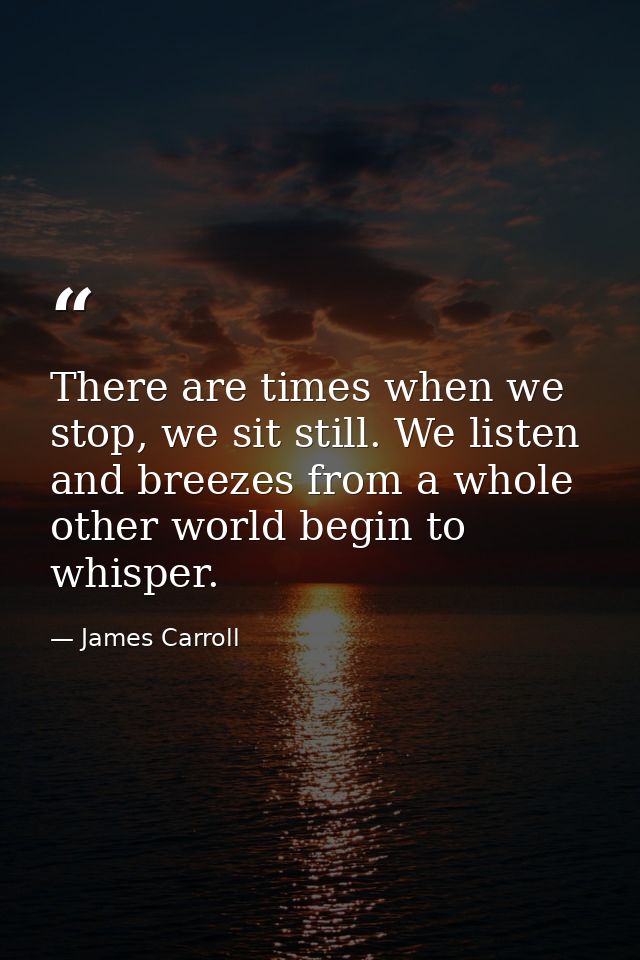 There are times when we stop, we sit still. We listen and breezes from a whole other world begin to whisper. — James Carroll