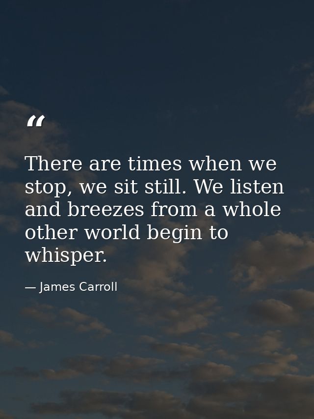There are times when we stop, we sit still. We listen and breezes from a whole other world begin to whisper. — James Carroll
