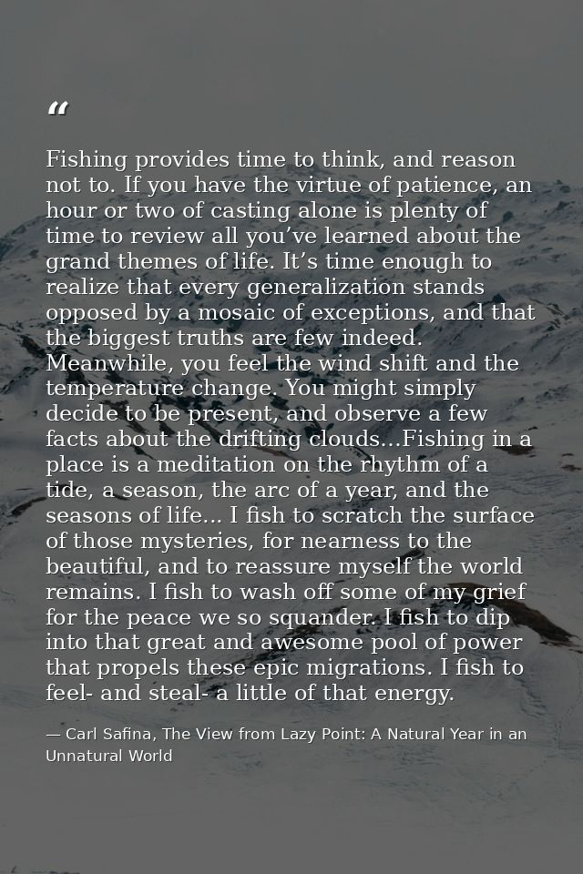Fishing provides time to think, and reason not to. If you have the virtue of patience, an hour or two of casting alone i — Carl Safina, The View from Lazy Point: A Natural Year in an Unnatural World