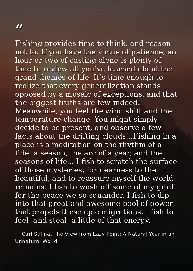 Fishing provides time to think, and reason not to. If you have the virtue of patience, an hour or two of casting alone i — Carl Safina, The View from Lazy Point: A Natural Year in an Unnatural World