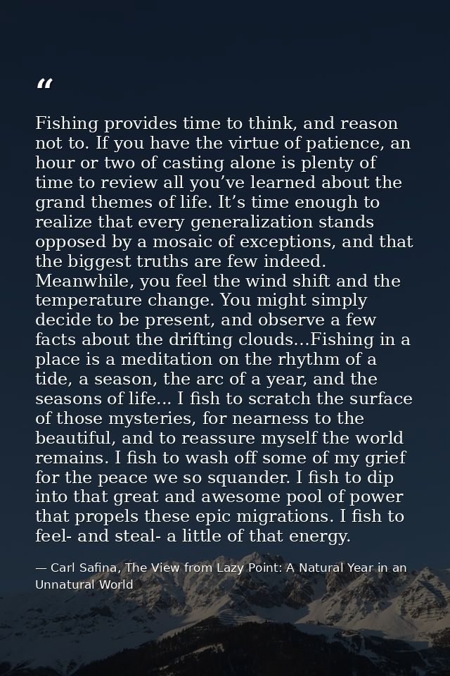 Fishing provides time to think, and reason not to. If you have the virtue of patience, an hour or two of casting alone i — Carl Safina, The View from Lazy Point: A Natural Year in an Unnatural World