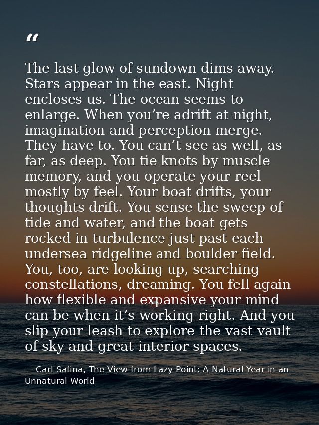 The last glow of sundown dims away. Stars appear in the east. Night encloses us. The ocean seems to enlarge. When you’re — Carl Safina, The View from Lazy Point: A Natural Year in an Unnatural World