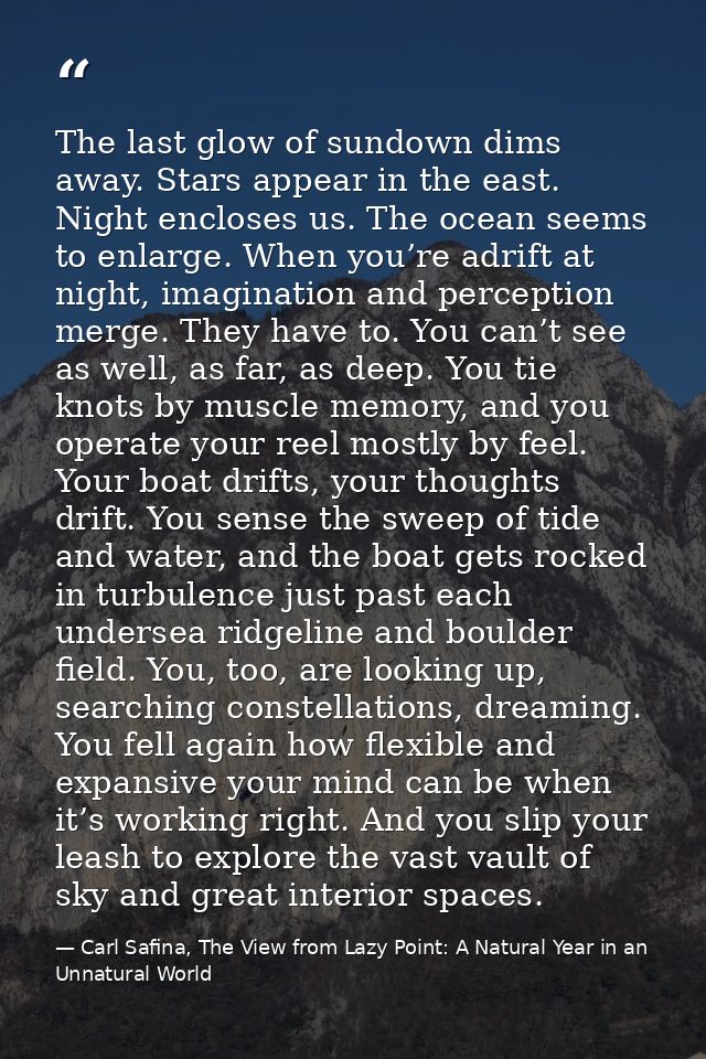 The last glow of sundown dims away. Stars appear in the east. Night encloses us. The ocean seems to enlarge. When you’re — Carl Safina, The View from Lazy Point: A Natural Year in an Unnatural World