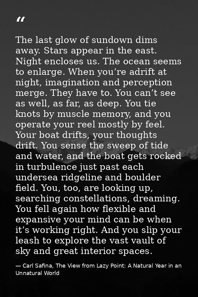 The last glow of sundown dims away. Stars appear in the east. Night encloses us. The ocean seems to enlarge. When you’re — Carl Safina, The View from Lazy Point: A Natural Year in an Unnatural World
