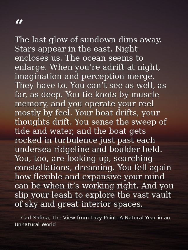 The last glow of sundown dims away. Stars appear in the east. Night encloses us. The ocean seems to enlarge. When you’re — Carl Safina, The View from Lazy Point: A Natural Year in an Unnatural World
