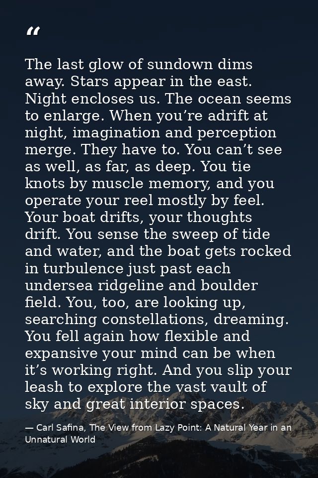 The last glow of sundown dims away. Stars appear in the east. Night encloses us. The ocean seems to enlarge. When you’re — Carl Safina, The View from Lazy Point: A Natural Year in an Unnatural World
