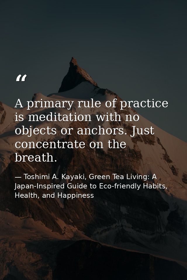 A primary rule of practice is meditation with no objects or anchors. Just concentrate on the breath. — Toshimi A. Kayaki, Green Tea Living: A Japan-Inspired Guide to Eco-friendly Habits, Health, and Happiness