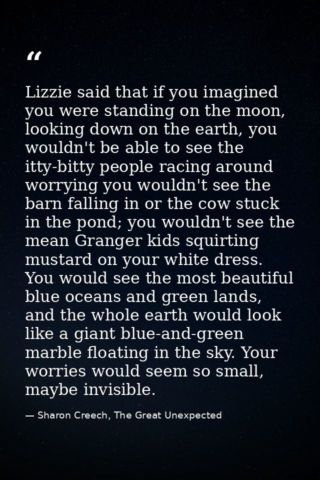 Lizzie said that if you imagined you were standing on the moon, looking down on the earth, you wouldn't be able to see t — Sharon Creech, The Great Unexpected