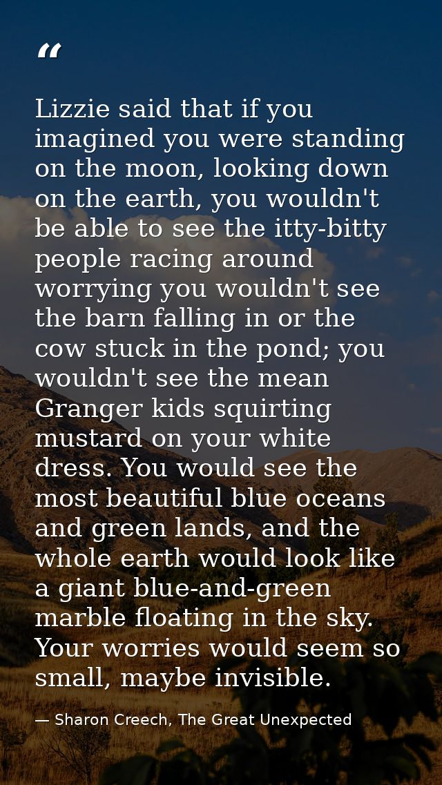 Lizzie said that if you imagined you were standing on the moon, looking down on the earth, you wouldn't be able to see t — Sharon Creech, The Great Unexpected