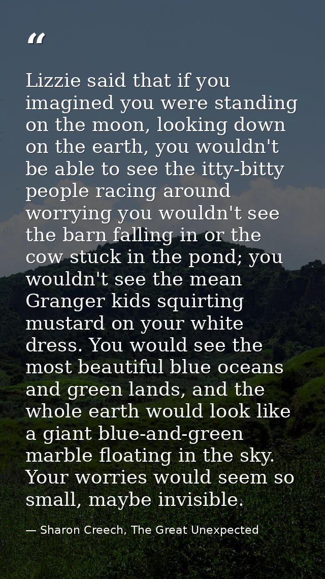Lizzie said that if you imagined you were standing on the moon, looking down on the earth, you wouldn't be able to see t — Sharon Creech, The Great Unexpected