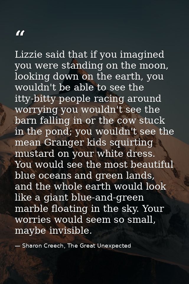 Lizzie said that if you imagined you were standing on the moon, looking down on the earth, you wouldn't be able to see t — Sharon Creech, The Great Unexpected