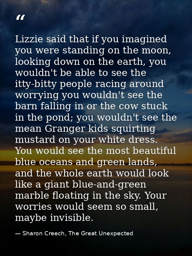 Lizzie said that if you imagined you were standing on the moon, looking down on the earth, you wouldn't be able to see t — Sharon Creech, The Great Unexpected