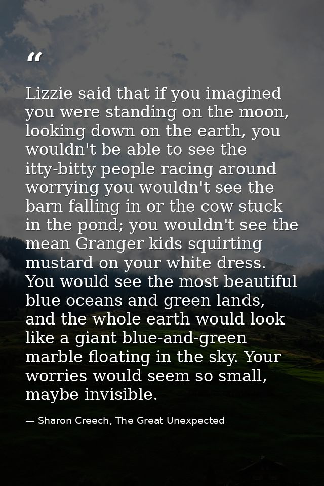 Lizzie said that if you imagined you were standing on the moon, looking down on the earth, you wouldn't be able to see t — Sharon Creech, The Great Unexpected