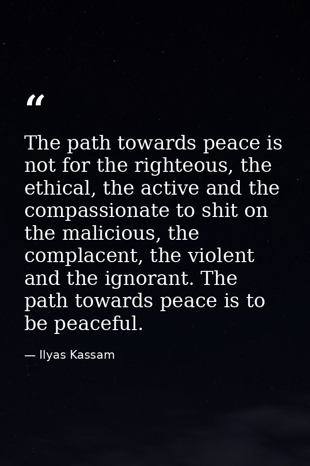 The path towards peace is not for the righteous, the ethical, the active and the compassionate to shit on the malicious, — Ilyas Kassam
