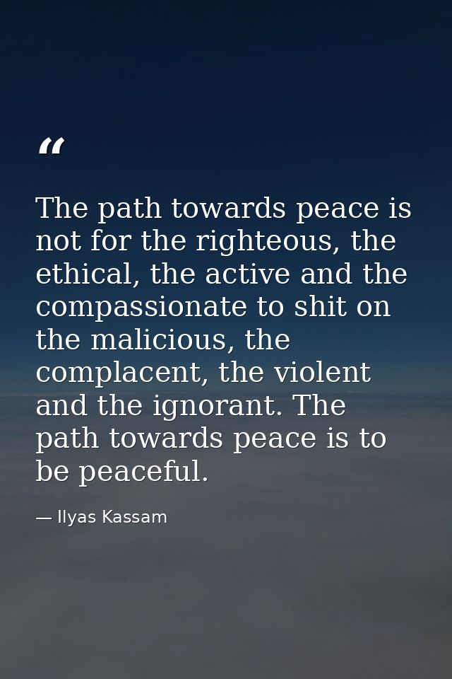 The path towards peace is not for the righteous, the ethical, the active and the compassionate to shit on the malicious, — Ilyas Kassam