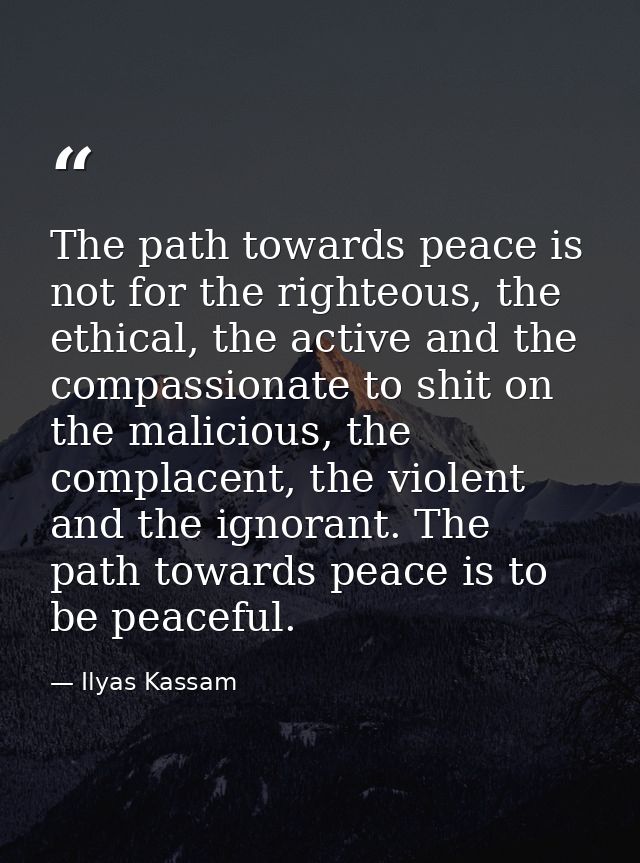 The path towards peace is not for the righteous, the ethical, the active and the compassionate to shit on the malicious, — Ilyas Kassam
