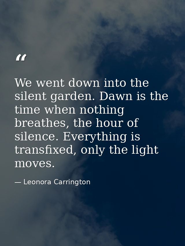 We went down into the silent garden. Dawn is the time when nothing breathes, the hour of silence. Everything is transfix — Leonora Carrington