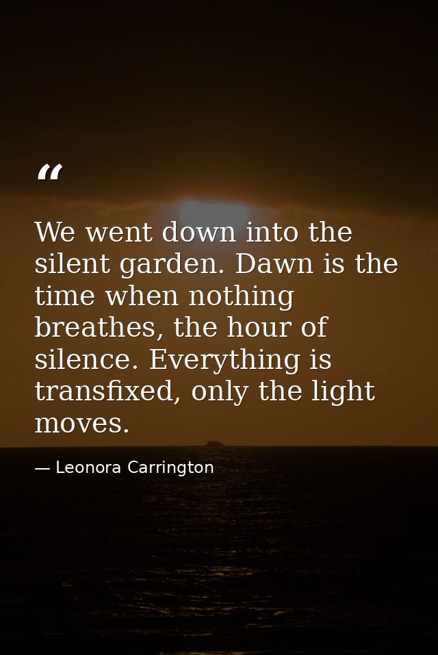 We went down into the silent garden. Dawn is the time when nothing breathes, the hour of silence. Everything is transfix — Leonora Carrington