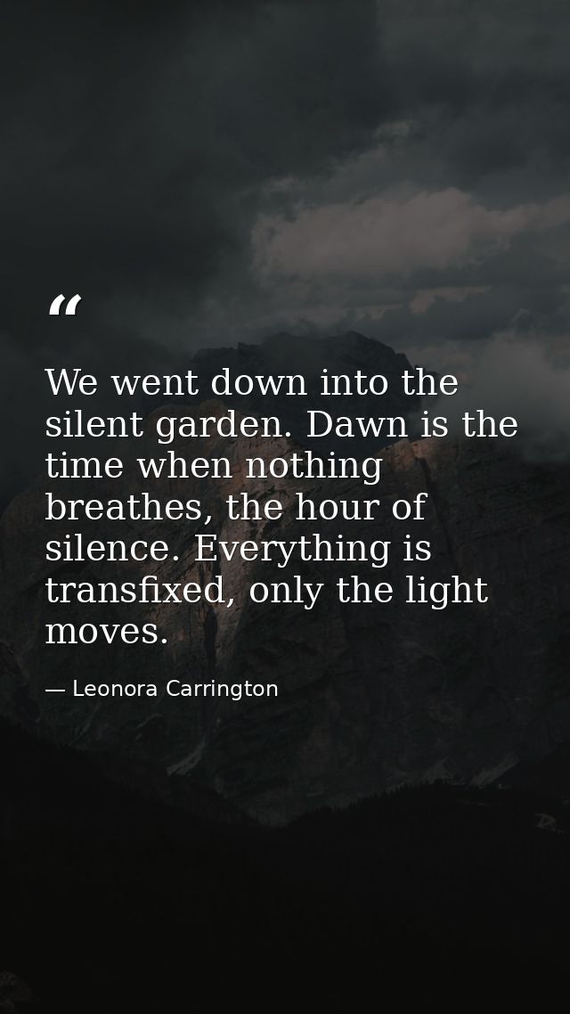 We went down into the silent garden. Dawn is the time when nothing breathes, the hour of silence. Everything is transfix — Leonora Carrington