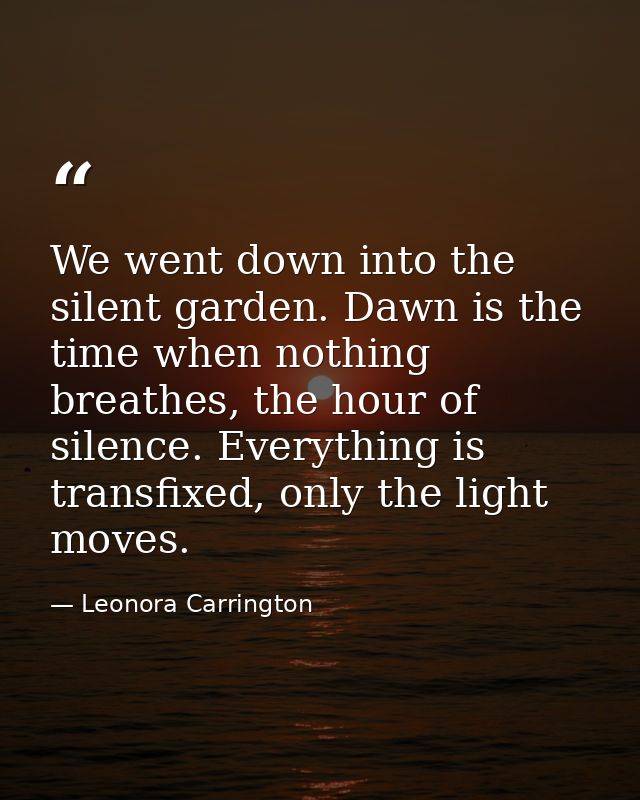 We went down into the silent garden. Dawn is the time when nothing breathes, the hour of silence. Everything is transfix — Leonora Carrington
