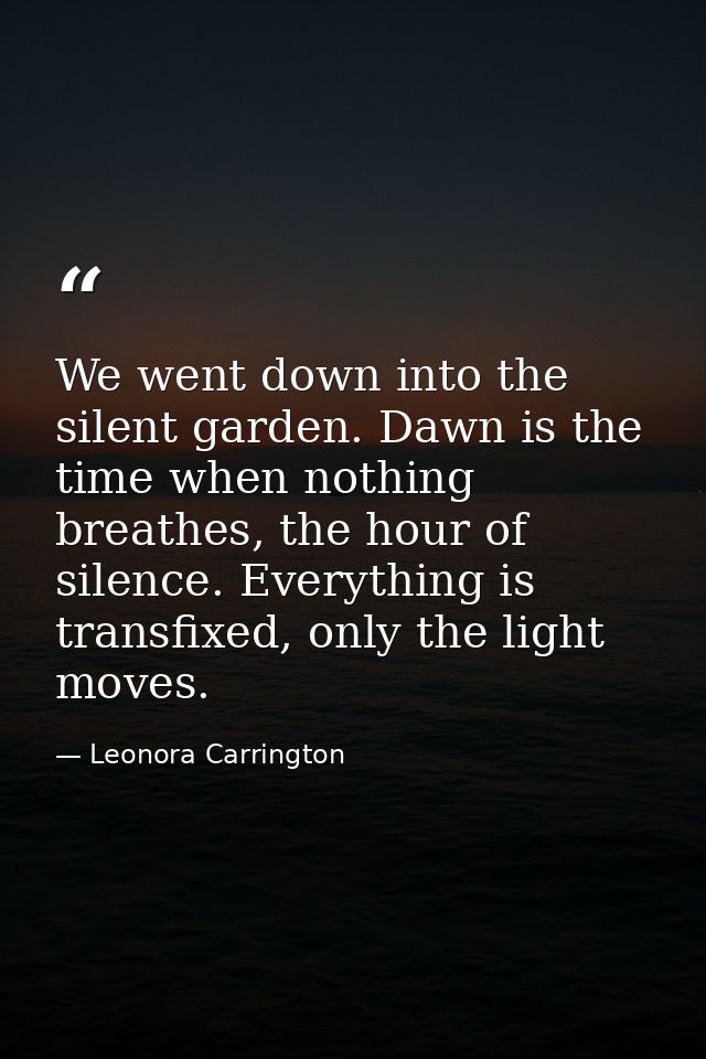 We went down into the silent garden. Dawn is the time when nothing breathes, the hour of silence. Everything is transfix — Leonora Carrington