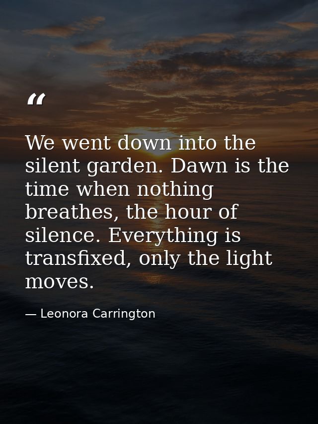 We went down into the silent garden. Dawn is the time when nothing breathes, the hour of silence. Everything is transfix — Leonora Carrington