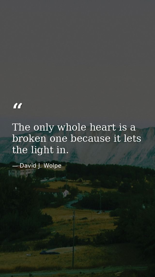The only whole heart is a broken one because it lets the light in. — David J. Wolpe