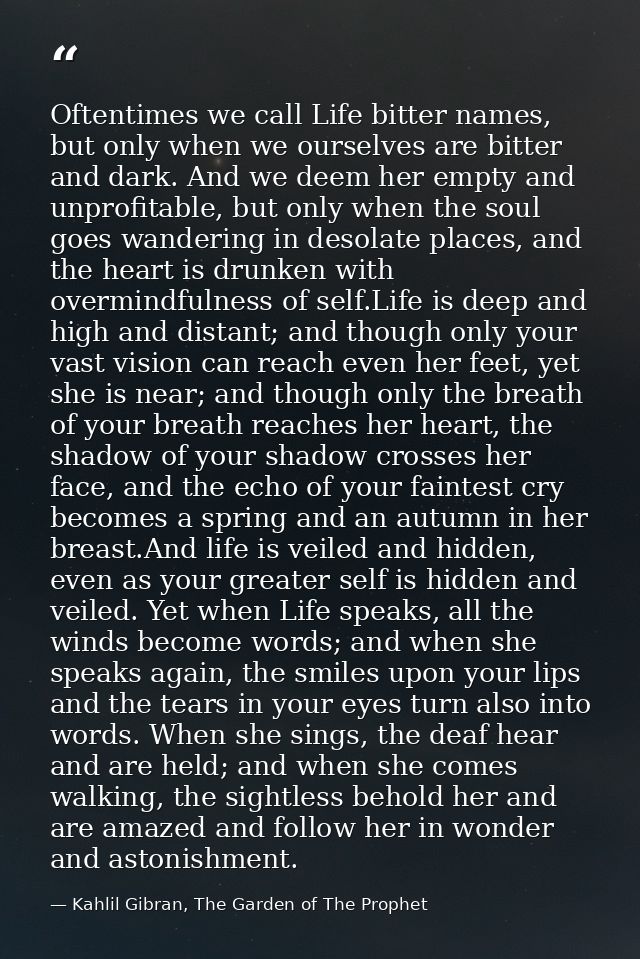 Oftentimes we call Life bitter names, but only when we ourselves are bitter and dark. And we deem her empty and unprofit — Kahlil Gibran, The Garden of The Prophet