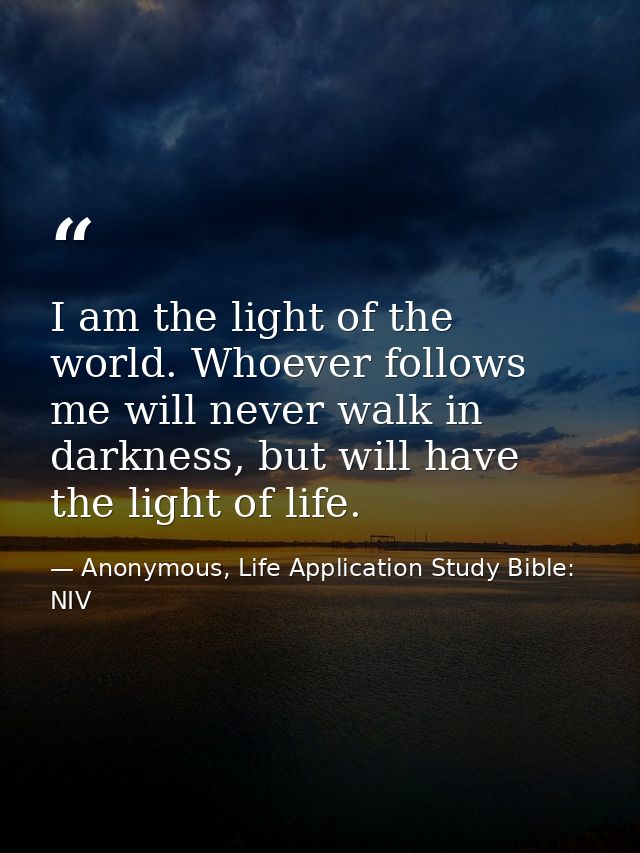 I am the light of the world. Whoever follows me will never walk in darkness, but will have the light of life. — Anonymous, Life Application Study Bible: NIV