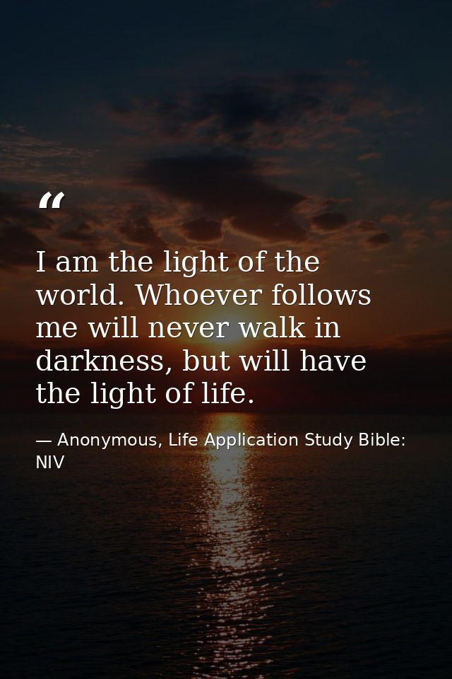I am the light of the world. Whoever follows me will never walk in darkness, but will have the light of life. — Anonymous, Life Application Study Bible: NIV