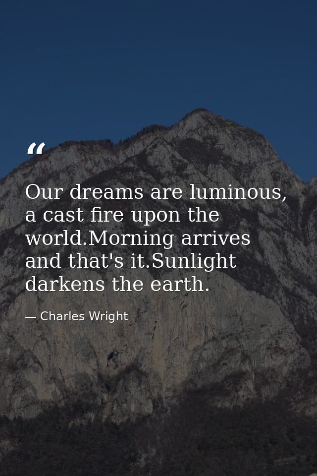 Our dreams are luminous, a cast fire upon the world.Morning arrives and that's it.Sunlight darkens the earth. — Charles Wright