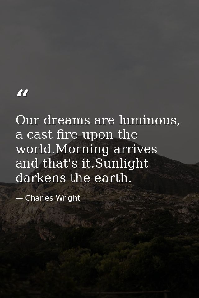 Our dreams are luminous, a cast fire upon the world.Morning arrives and that's it.Sunlight darkens the earth. — Charles Wright