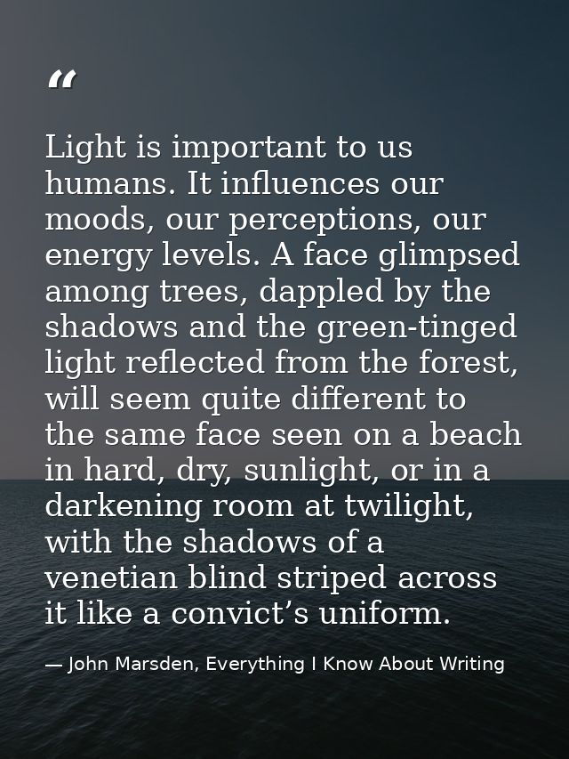 Light is important to us humans. It influences our moods, our perceptions, our energy levels. A face glimpsed among tree — John Marsden, Everything I Know About Writing