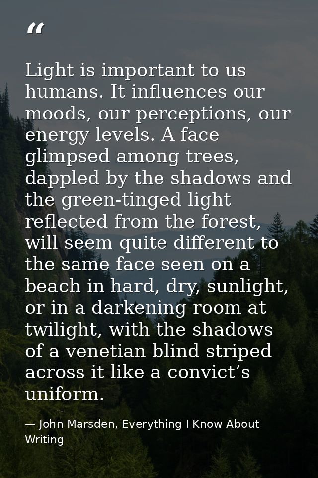 Light is important to us humans. It influences our moods, our perceptions, our energy levels. A face glimpsed among tree — John Marsden, Everything I Know About Writing