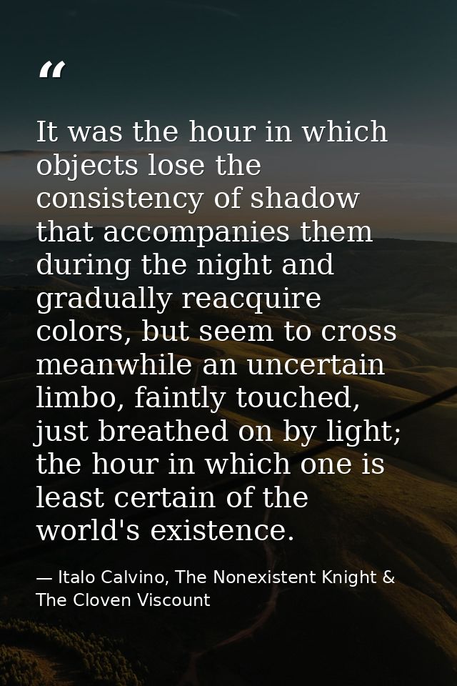 It was the hour in which objects lose the consistency of shadow that accompanies them during the night and gradually rea — Italo Calvino, The Nonexistent Knight & The Cloven Viscount