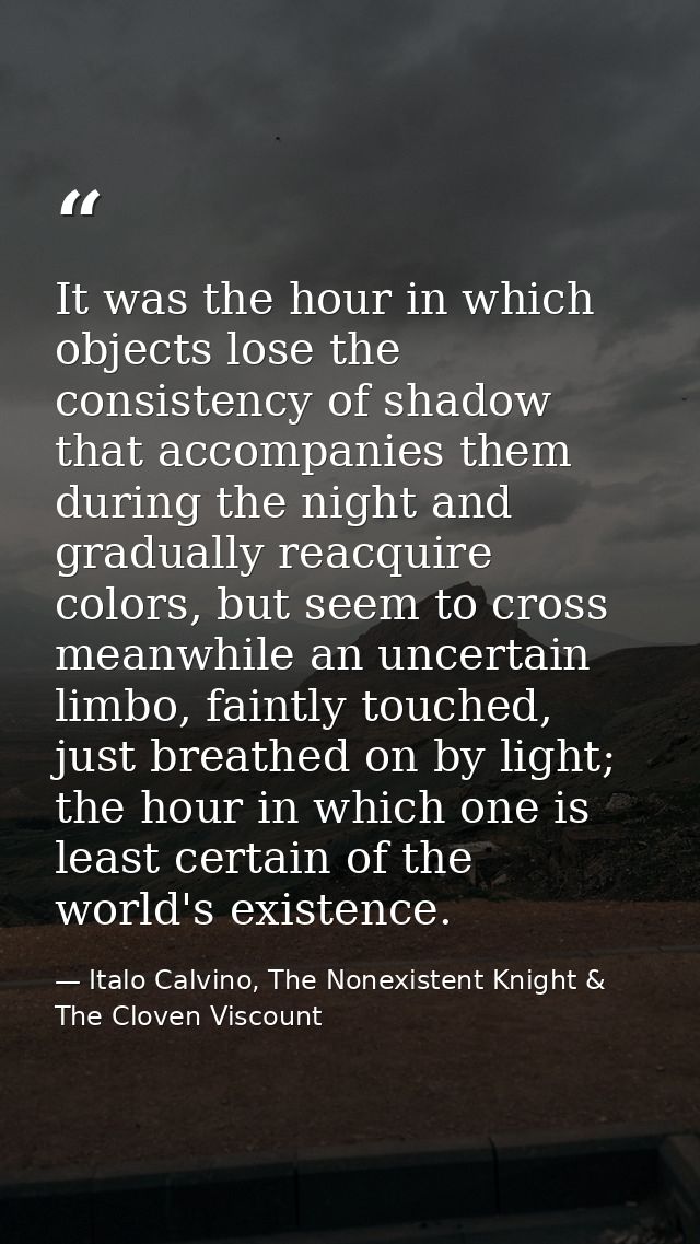It was the hour in which objects lose the consistency of shadow that accompanies them during the night and gradually rea — Italo Calvino, The Nonexistent Knight & The Cloven Viscount