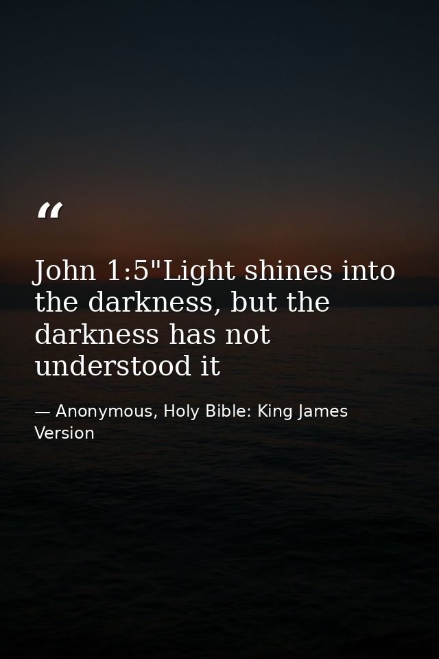 John 1:5"Light shines into the darkness, but the darkness has not understood it — Anonymous, Holy Bible: King James Version
