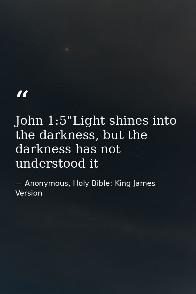 John 1:5"Light shines into the darkness, but the darkness has not understood it — Anonymous, Holy Bible: King James Version