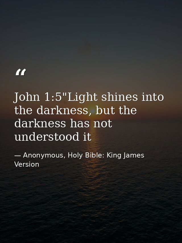 John 1:5"Light shines into the darkness, but the darkness has not understood it — Anonymous, Holy Bible: King James Version
