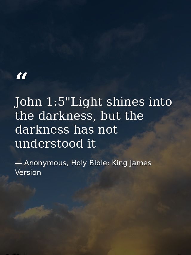 John 1:5"Light shines into the darkness, but the darkness has not understood it — Anonymous, Holy Bible: King James Version