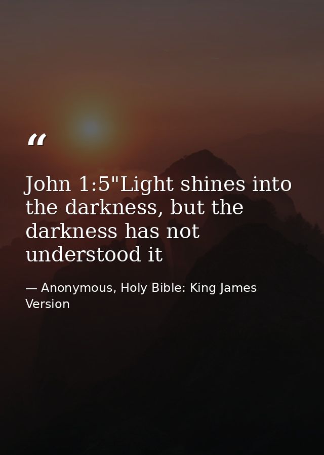 John 1:5"Light shines into the darkness, but the darkness has not understood it — Anonymous, Holy Bible: King James Version