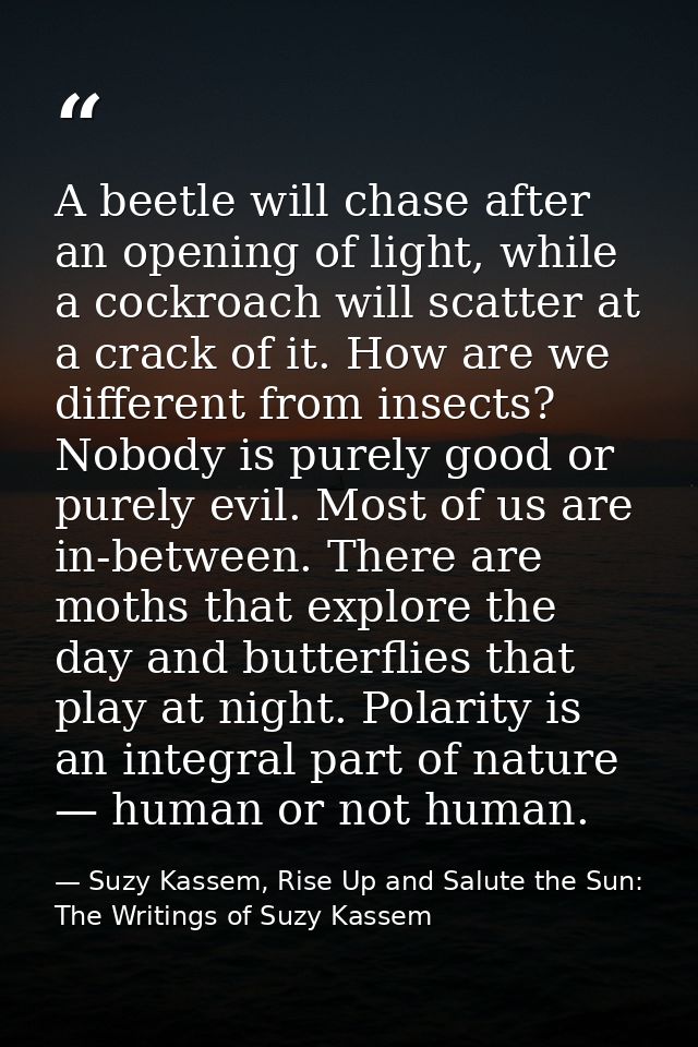 A beetle will chase after an opening of light, while a cockroach will scatter at a crack of it. How are we different fro — Suzy Kassem, Rise Up and Salute the Sun: The Writings of Suzy Kassem