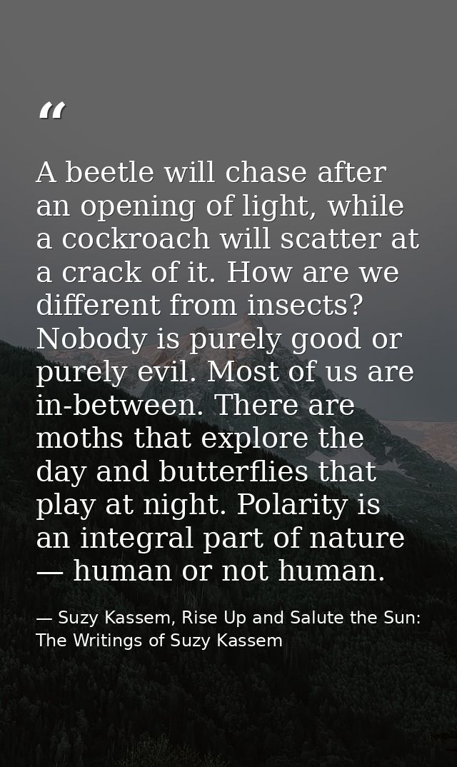 A beetle will chase after an opening of light, while a cockroach will scatter at a crack of it. How are we different fro — Suzy Kassem, Rise Up and Salute the Sun: The Writings of Suzy Kassem