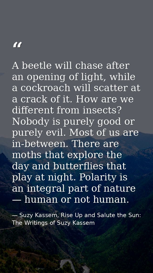 A beetle will chase after an opening of light, while a cockroach will scatter at a crack of it. How are we different fro — Suzy Kassem, Rise Up and Salute the Sun: The Writings of Suzy Kassem