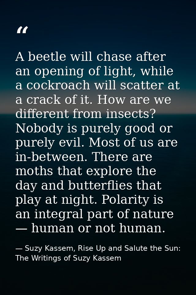 A beetle will chase after an opening of light, while a cockroach will scatter at a crack of it. How are we different fro — Suzy Kassem, Rise Up and Salute the Sun: The Writings of Suzy Kassem