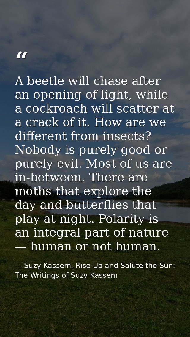 A beetle will chase after an opening of light, while a cockroach will scatter at a crack of it. How are we different fro — Suzy Kassem, Rise Up and Salute the Sun: The Writings of Suzy Kassem