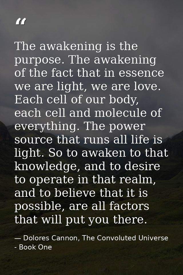 The awakening is the purpose. The awakening of the fact that in essence we are light, we are love. Each cell of our body — Dolores Cannon, The Convoluted Universe - Book One