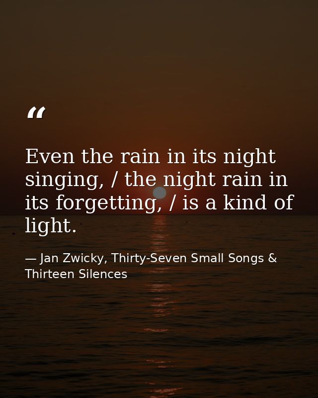Even the rain in its night singing, / the night rain in its forgetting, / is a kind of light. — Jan Zwicky, Thirty-Seven Small Songs & Thirteen Silences