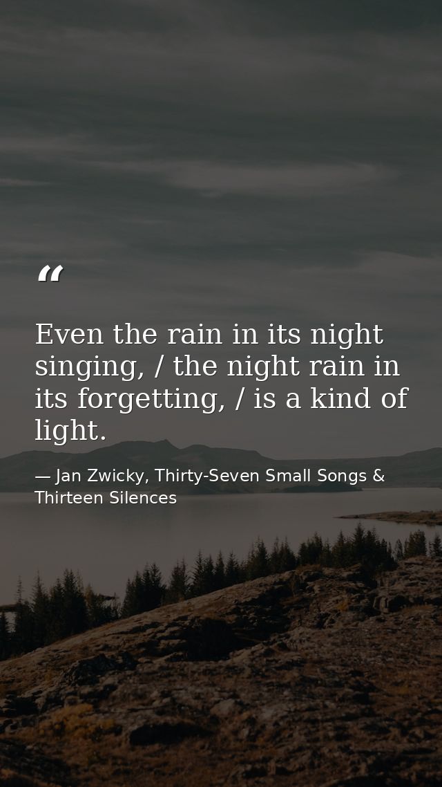 Even the rain in its night singing, / the night rain in its forgetting, / is a kind of light. — Jan Zwicky, Thirty-Seven Small Songs & Thirteen Silences