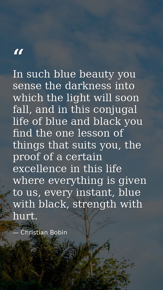 In such blue beauty you sense the darkness into which the light will soon fall, and in this conjugal life of blue and bl — Christian Bobin